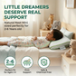 Natural Nest Mini Pillow