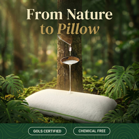 Jumbo Pillow
