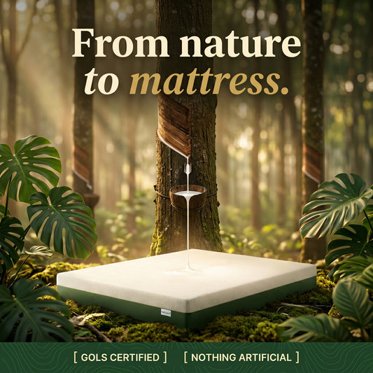 Ortho Therapy Mattress