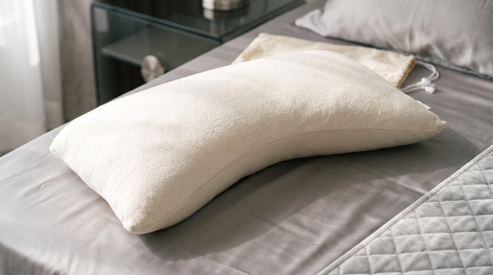Dualis Arc Pillow