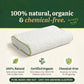 Natural Nest Mini Pillow