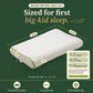 Natural Nest Mini Pillow