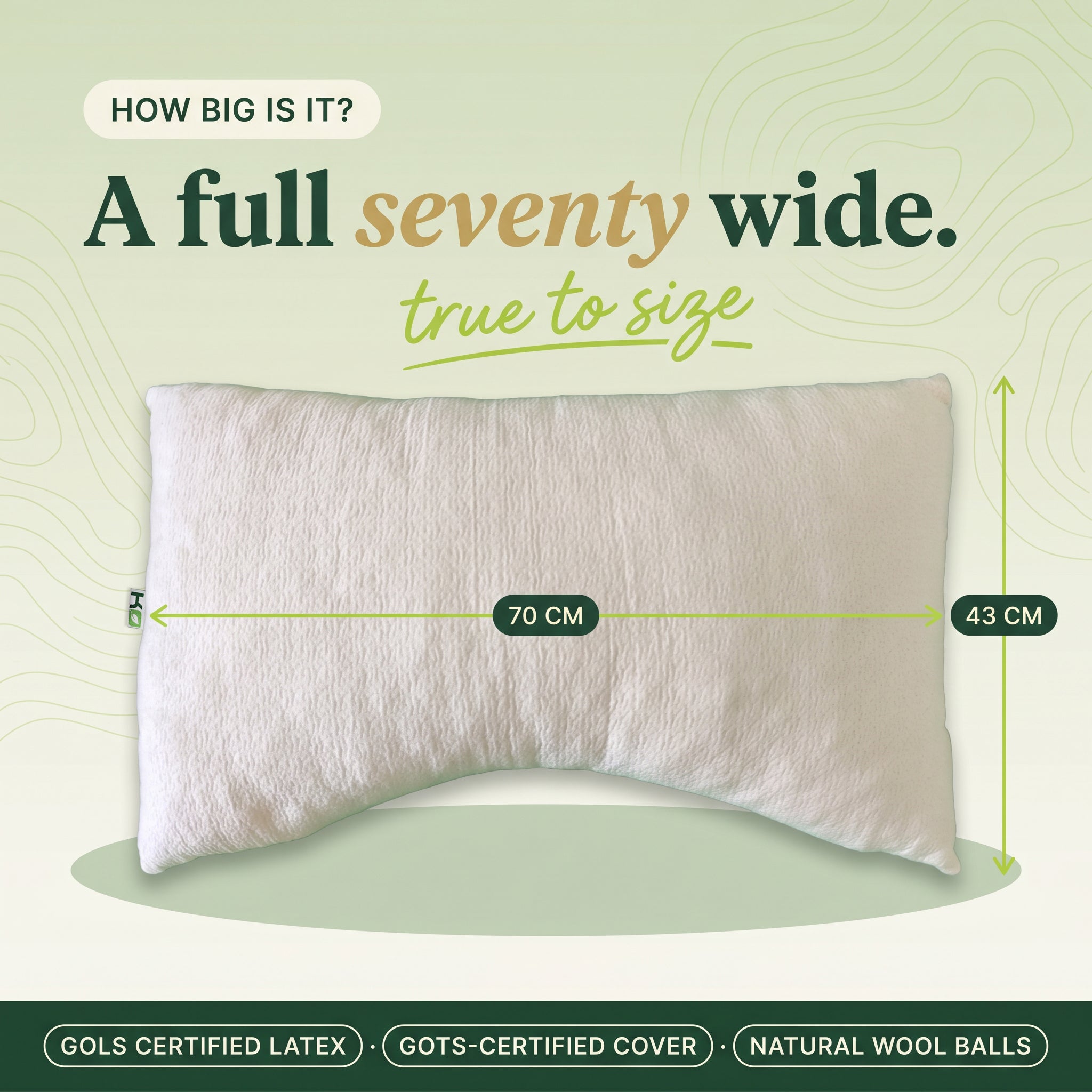 Dualis Arc Pillow