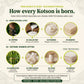 Natural Nest Mini Pillow