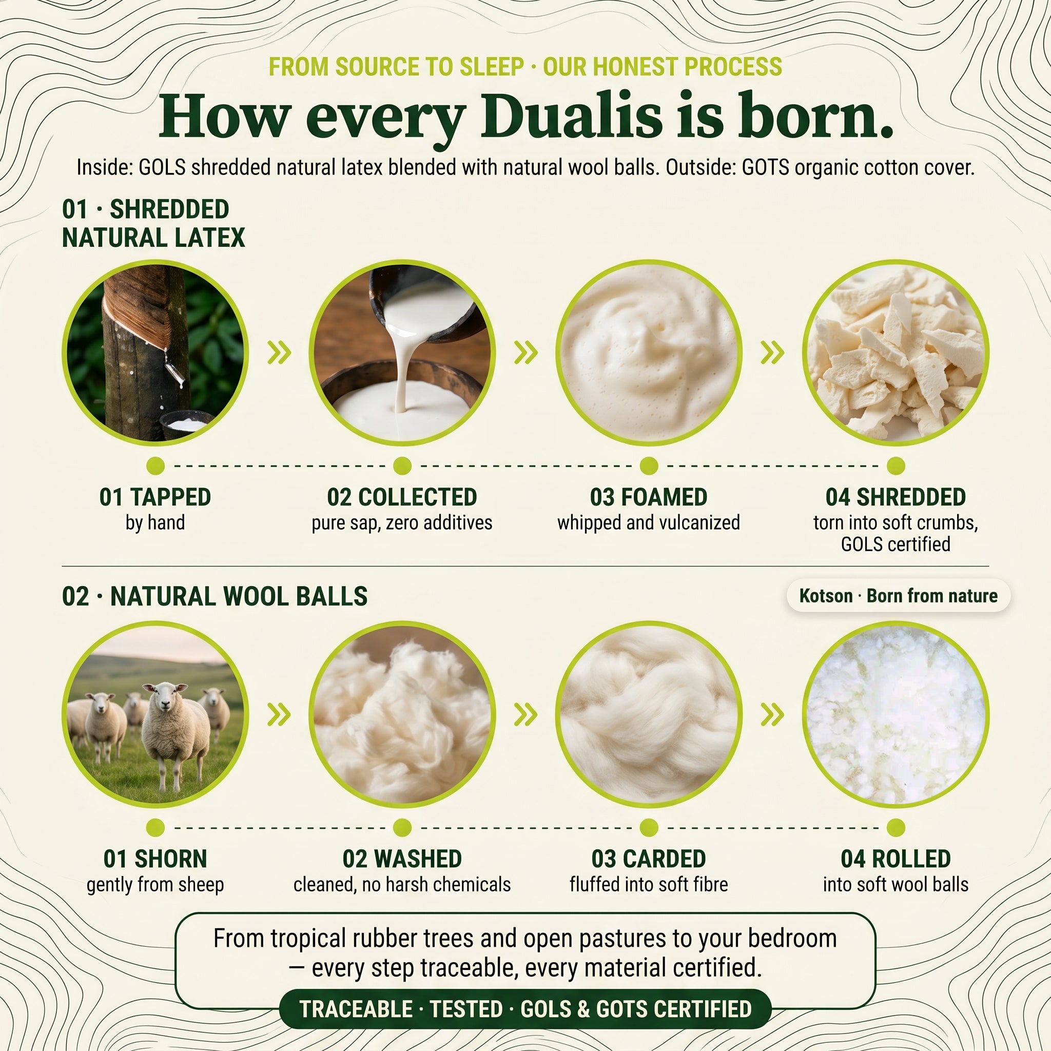 Dualis Arc Pillow